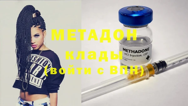 прущие грибы Пестово