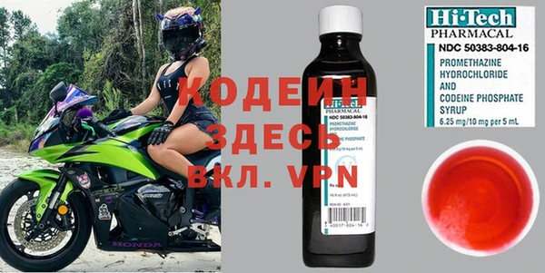 прущие грибы Пестово