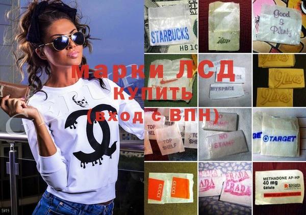 хмурый Осинники