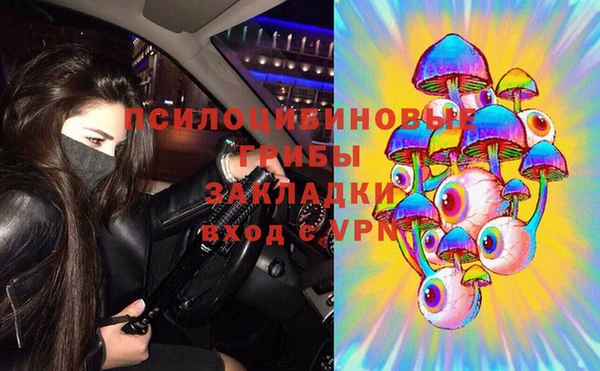 амф Переславль-Залесский