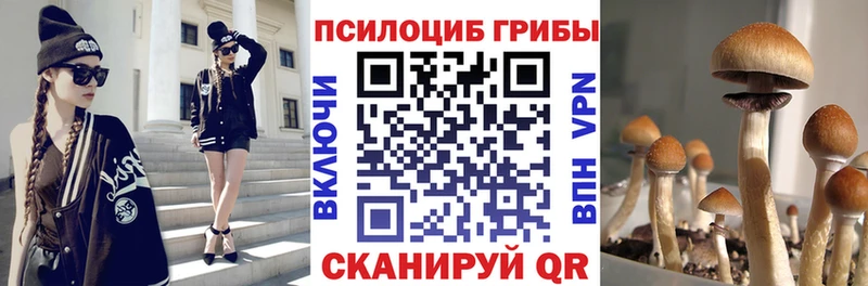 Псилоцибиновые грибы мухоморы  KRAKEN маркетплейс  Закаменск  где продают  